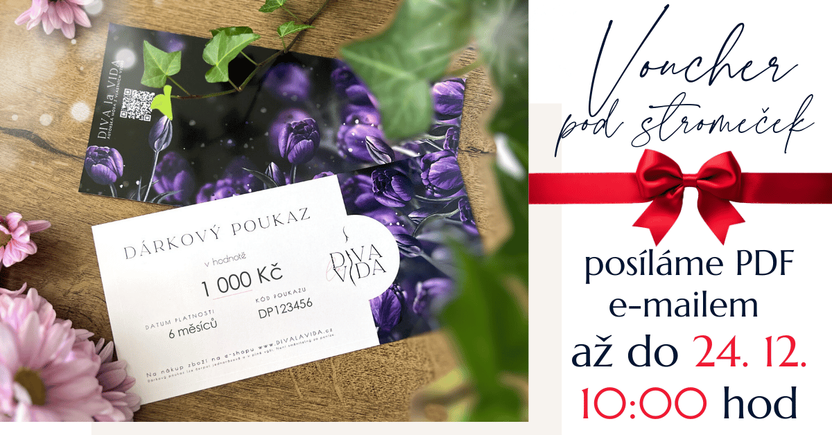 Voucher emailem do 24.12.